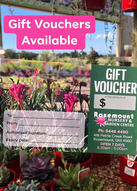 Gift Vouchers Available