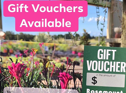 Gift Vouchers Available
