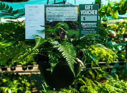 Nursery Gift Vouchers - Plants in QLD